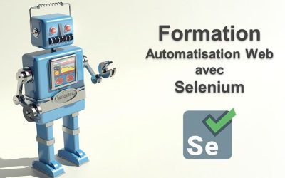 Automatisation Web avec Selenium et Python